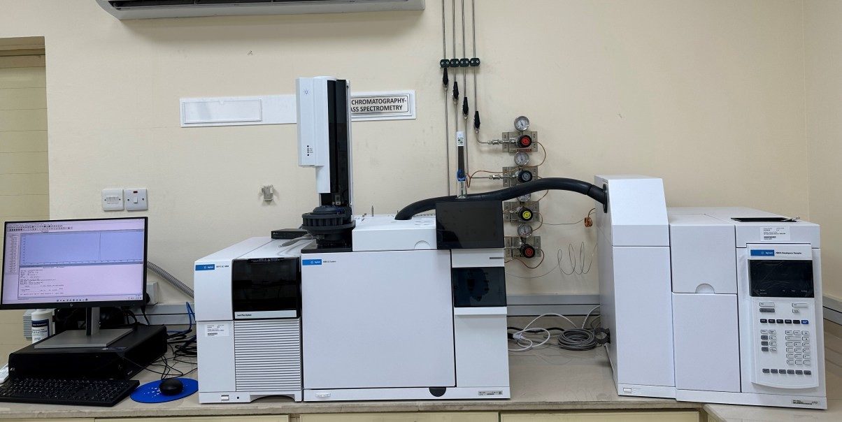 Gas chromatography-mass spectrometry station in the Oren laboratory